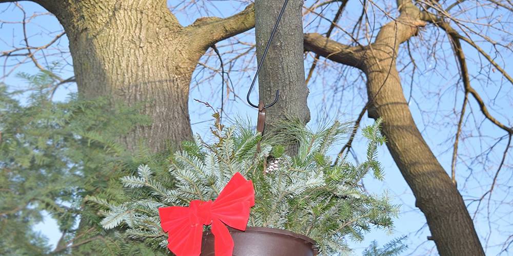 Use black plant hanging hooks to hanging flowerpots on the tree bench.