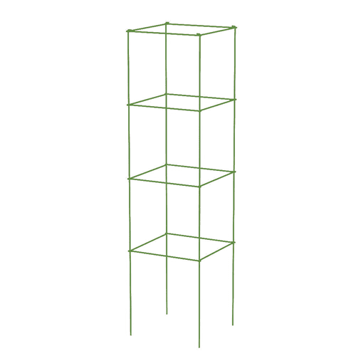 Yellow green tomato tower is available in JinShi