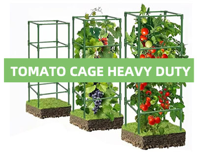 metal tomato cage