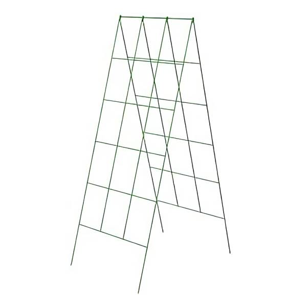 A drawing picture of high A-frame zucchini trellis