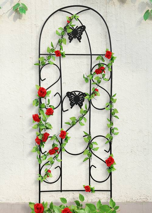 Rich black metal garden trellis with butterfly pattern for climbing rose.
