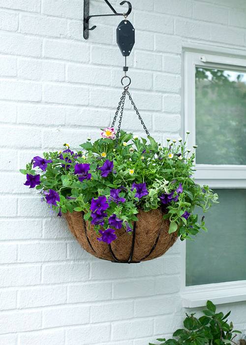Plant bracket hanging a potted purple flower.