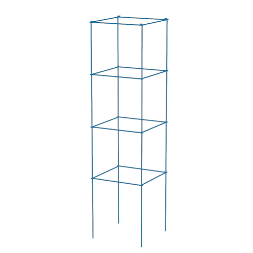 Sky blue tomato tower is available in JinShi.