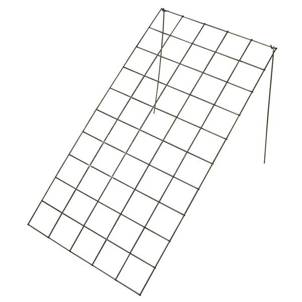 A drawing picture of wide tent shape zucchini trellis